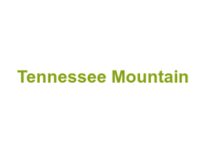 Tennessee Mountain Logo