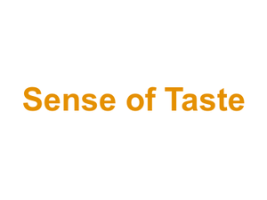 Sense of Taste Logo
