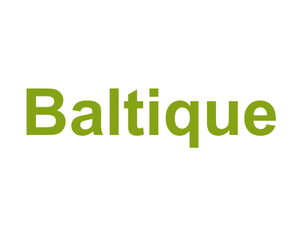 Baltique Logo