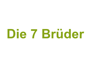 Die 7 Brüder Logo