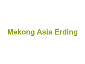 Mekong Asia Erding Logo