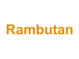 Rambutan Logo