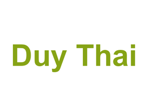 Duy Thai Logo