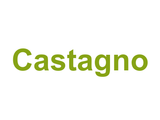 Castagno Logo