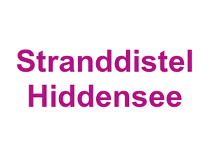 Stranddistel Hiddensee Logo