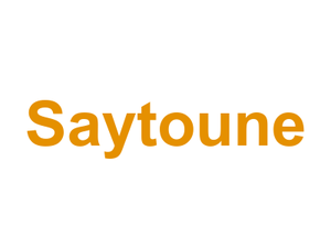 Saytoune Logo