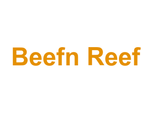 Beef'n Reef Logo