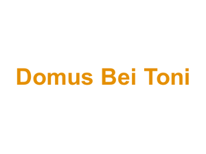 Domus Bei Toni Logo
