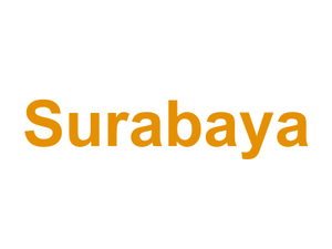 Surabaya Logo