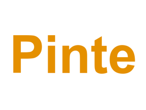 Pinte Logo