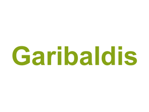 Garibaldi's Logo