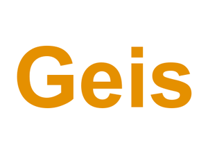 Geis Logo