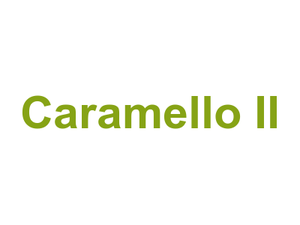 Caramello II Logo