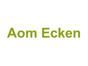 Aom Ecken Logo