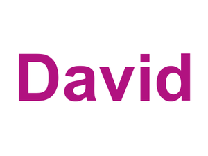 David Logo