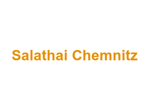 Salathai Chemnitz Logo