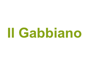 Il Gabbiano Logo