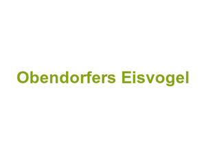 Obendorfers Eisvogel Logo