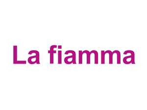La fiamma Logo