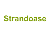 Strandoase Logo