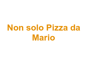 Non solo Pizza da Mario Logo