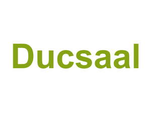 Ducsaal Logo