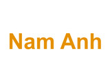 Nam Anh Logo