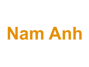 Nam Anh Logo