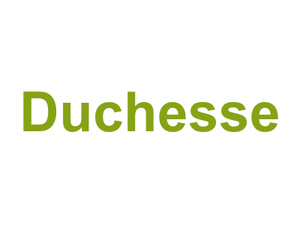 Duchesse Logo