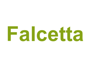 Falcetta Logo