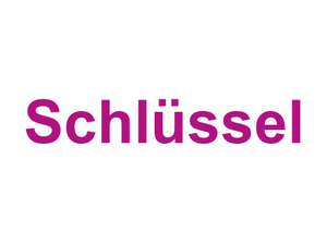 Schlüssel Logo