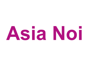 Asia Noi Logo