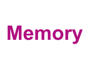 Memory Logo