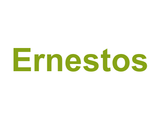 Ernestos Logo