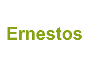 Ernestos Logo