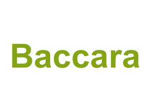 Baccara Logo
