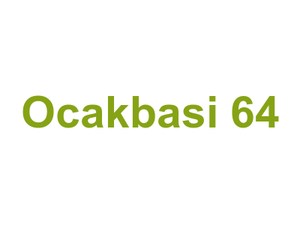 Ocakbasi 64 Logo