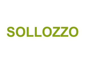 SOLLOZZO Logo