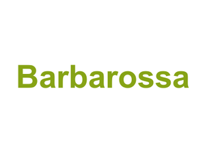 Barbarossa Logo