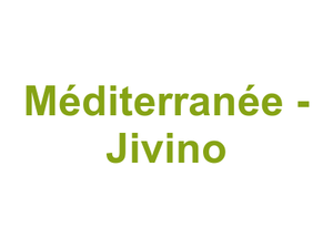 Méditerranée - Jivino Logo