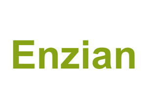 Enzian Logo