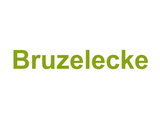Bruzelecke Logo