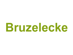 Bruzelecke Logo