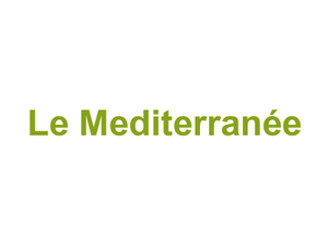 Le Mediterranée Logo
