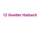 12 Goetter Haibach Logo