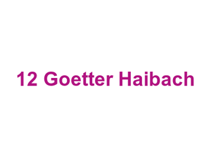 12 Goetter Haibach Logo