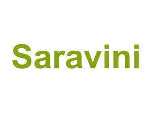 Saravini Logo