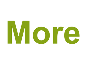 More Logo