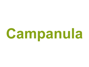 Campanula Logo