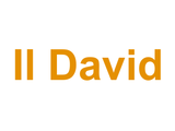 Il David Logo